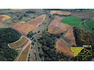 Property photo 48 - 1,153 +/- Acres offered in 15 TractsLAND AUCTION